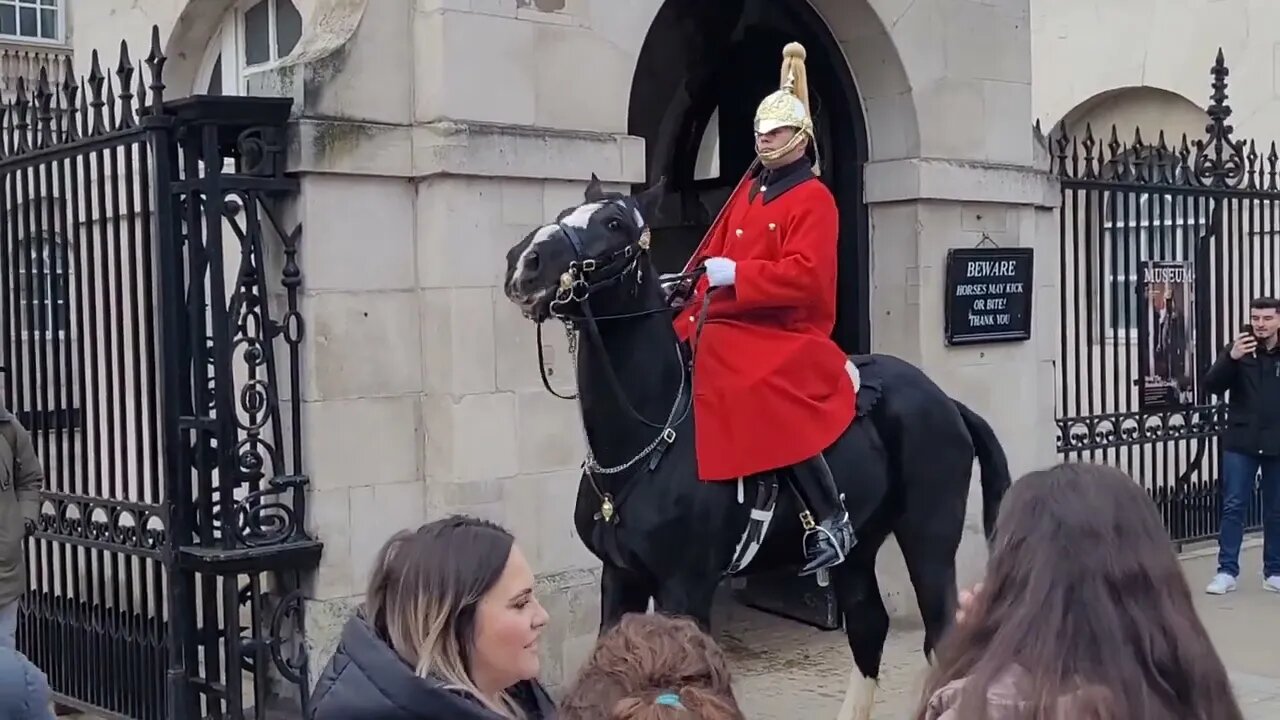 Bikers cause the King's Guards Horse to freak out #horseguardsparade