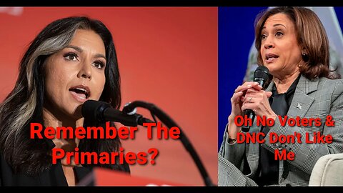 Remember Tulsi Destroying Kamala During The Debates? DNC Questions Her Fitness To Serve