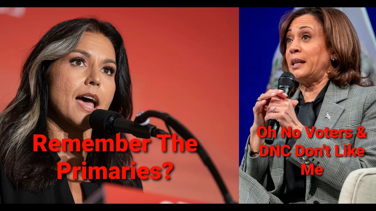 Remember Tulsi Destroying Kamala During The Debates? DNC Questions Her Fitness To Serve