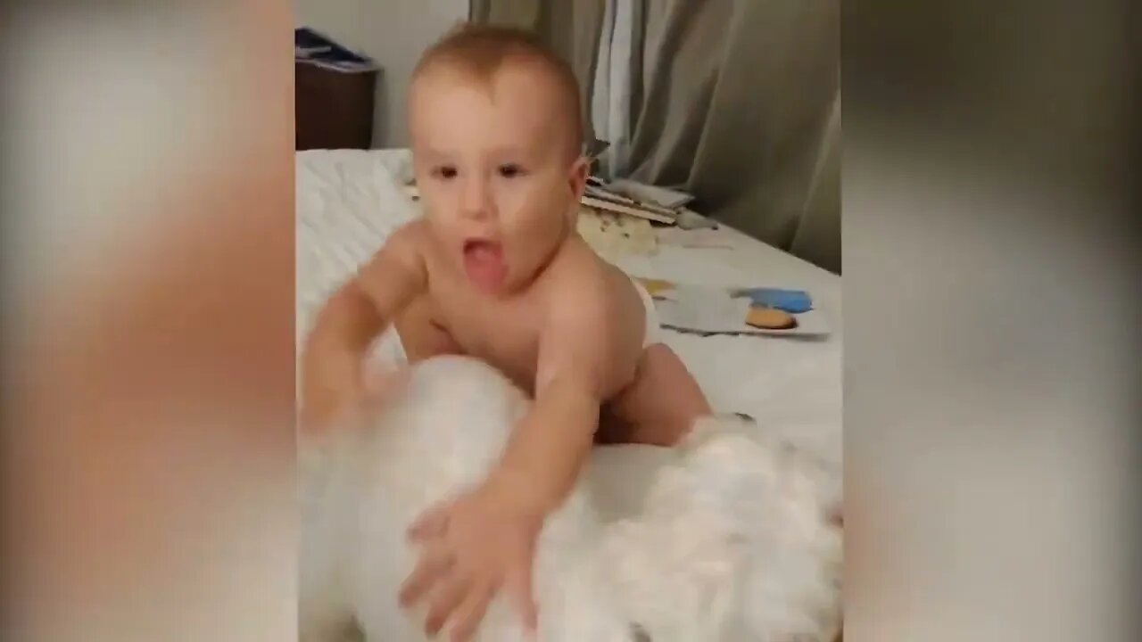 Cutest Babies Play With Dogs And Cats Compilation Cool Peachy