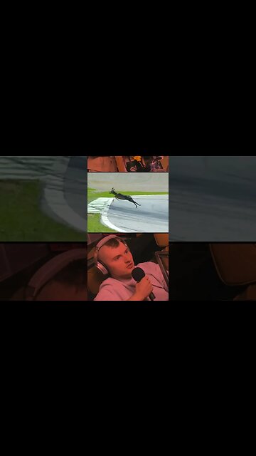 Latifi is a psycho #shorts