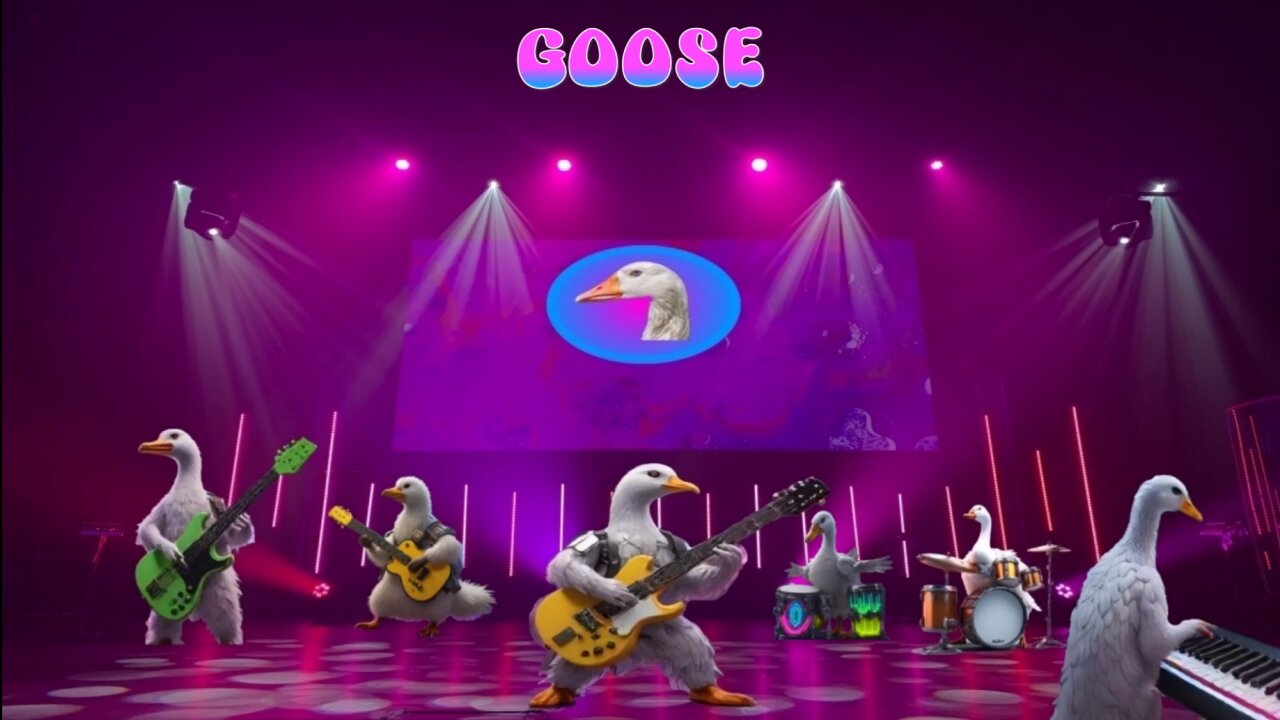 Goose - A Gaggle of Goose (A SIGOPS Compilation)