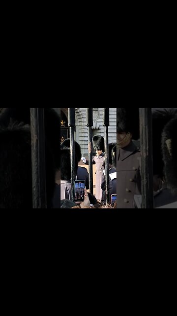 The kings guard conducter #buckinghampalace