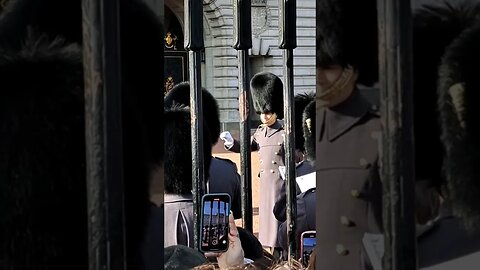 The kings guard conducter #buckinghampalace