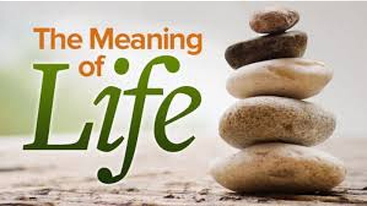 The Meaning of Life Marvin v David