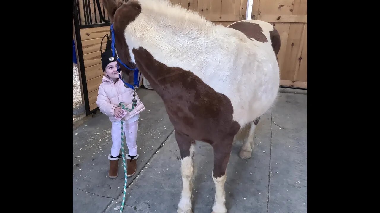 Kinsley got a new Pony!