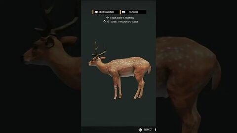 Compound Bow 🏹 220 Yard SNIPER Competition Win! - theHunter: Call of the Wild #shorts