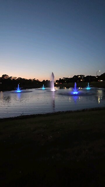 My Peaceful Place - I STFU 4dis1