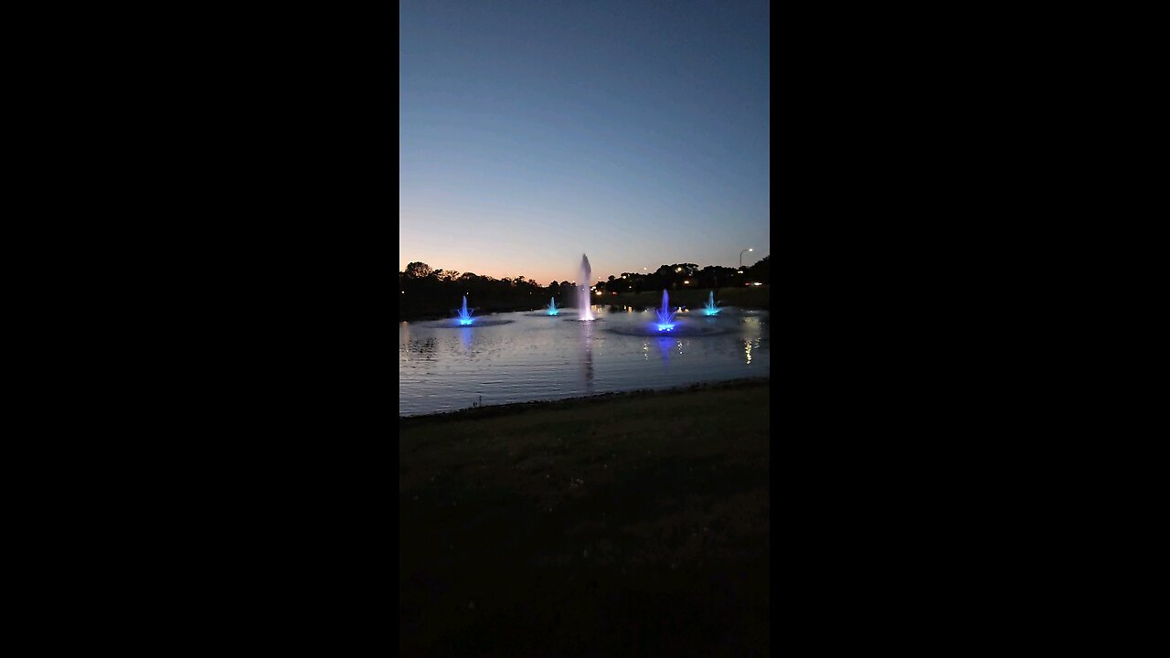 My Peaceful Place - I STFU 4dis1