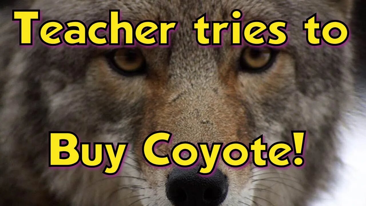 Schools are getting worse - Teacher Tries to raise Funds for Illegal Crime Cartel