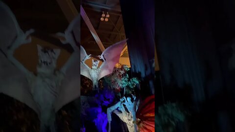 @Haashow @Scarefactory1 2023