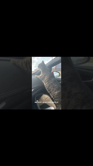 Zeus Upset They Just Passed Chick-fil-A