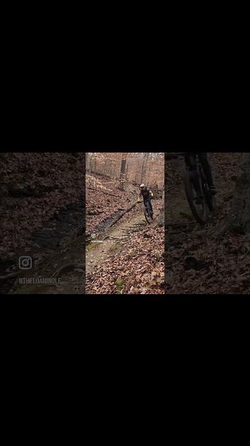 Nashville Tennessee MTB -Bike trails Montgomery Bell #mtb #loamwolf #shorts