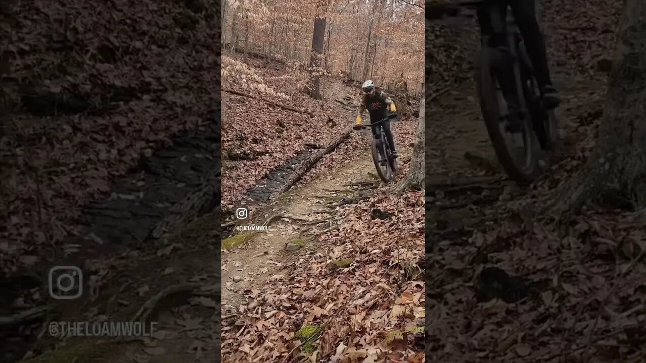 Nashville Tennessee MTB -Bike trails Montgomery Bell #mtb #loamwolf #shorts