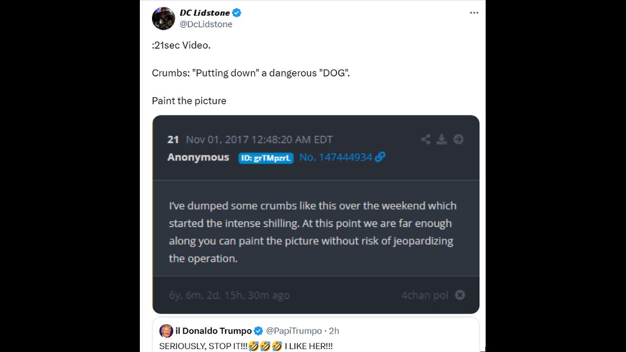SERIOUSLY, STOP IT!!!🤣🤣🤣 I LIKE HER!!!:Crumbs: "Putting down" a dangerous "DOG".