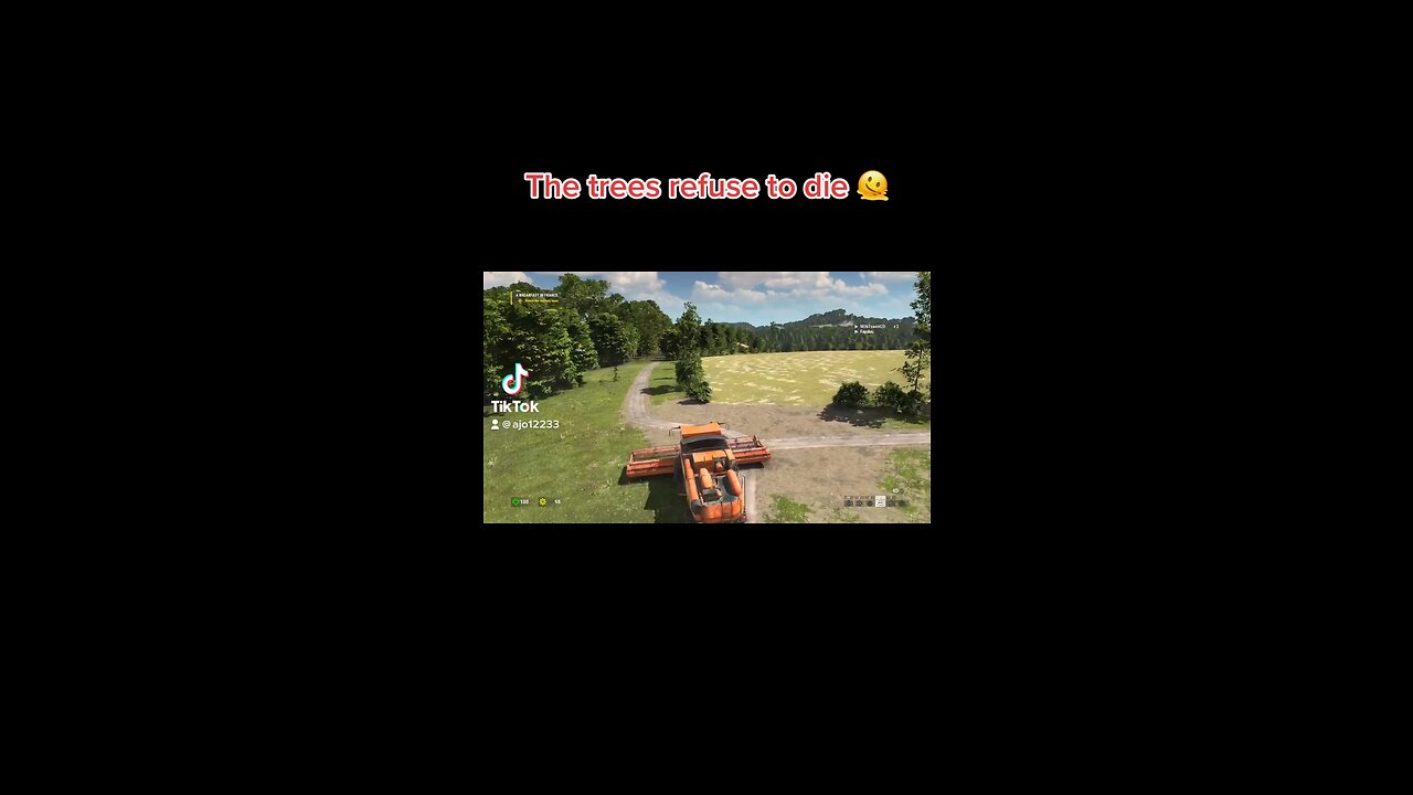 The trees refuse to die ðŸ«