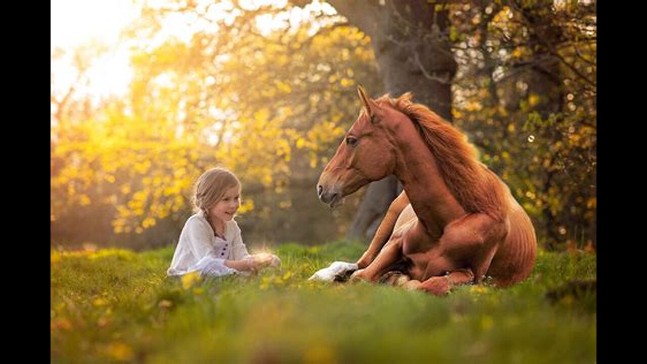 Through A Horses Eyes- With Kate Blackmore