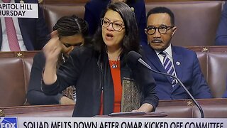 Liberals losing their mind over Congress woman Omar‘s removal ￼