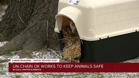 Unchain OK working to keep dogs warm in cold weather