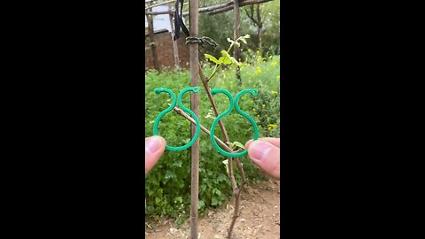 Gardening Clip Trellis for Vine Vegetable Plant Stand Support