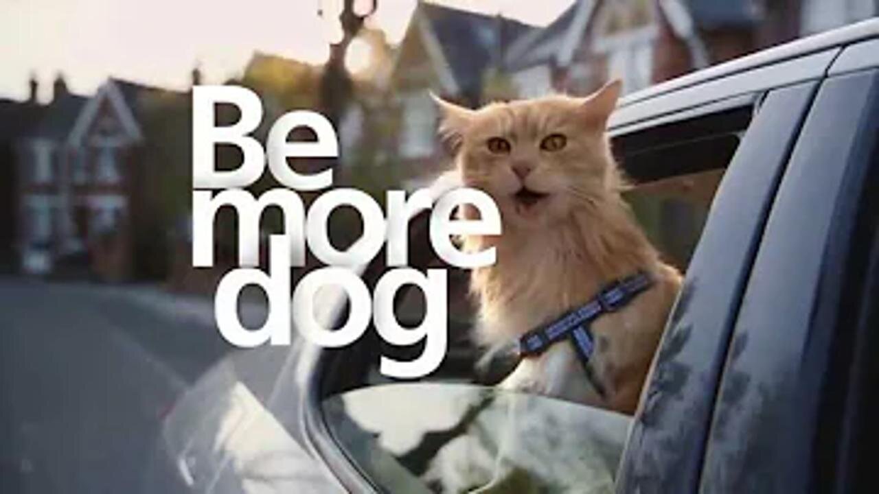 O2 "BE MORE DOG"