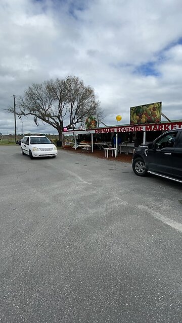 "Normans Road Side "Rte 301 Starke ,Florida🌴