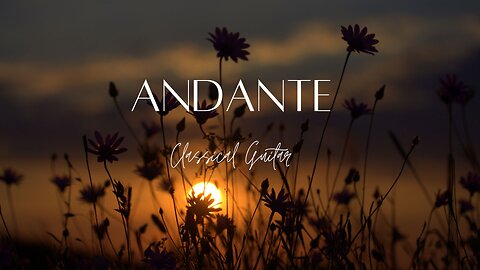Relaxing, Peaceful Classical Guitar Cover-"Andante"