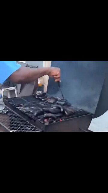 Man's BBQs Chicken Is Totally Burned! #Fail #funny #video