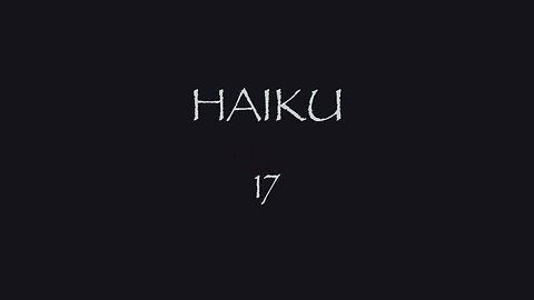 HAIKU 17