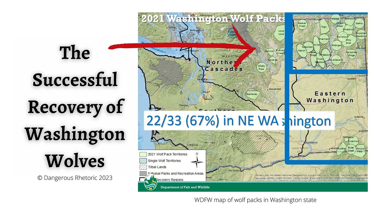 The Successful Recovery of Washington Wolves