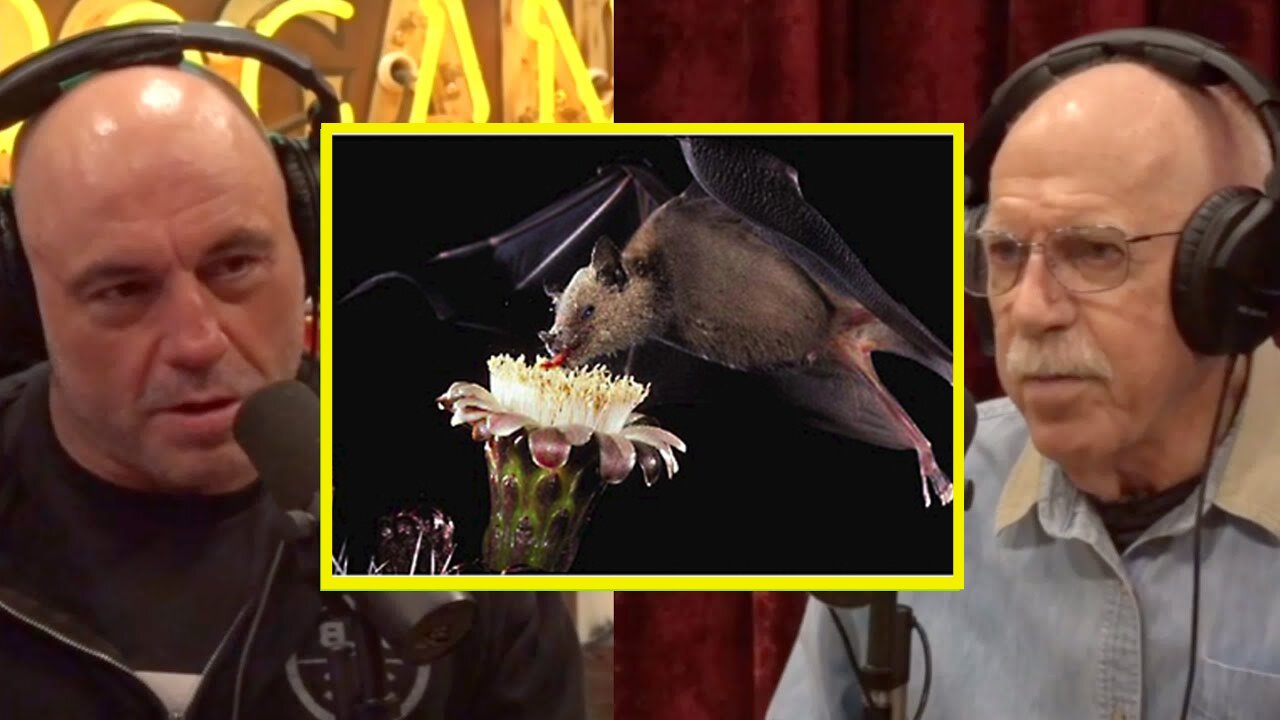 " Number 1 Pollinators are BATS?!? How Do They Do It? | JRE