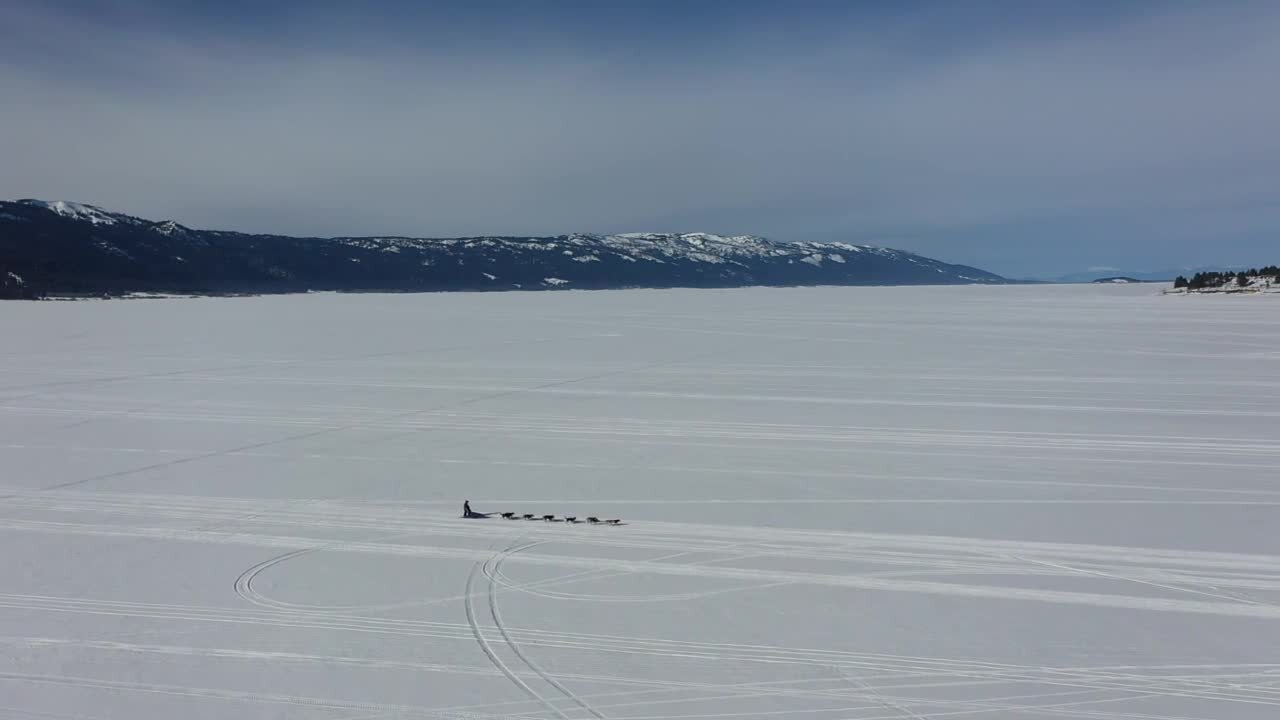 Jesse Royer wins the Idaho Sled Dog Challenge as her team prepares for the Iditarod