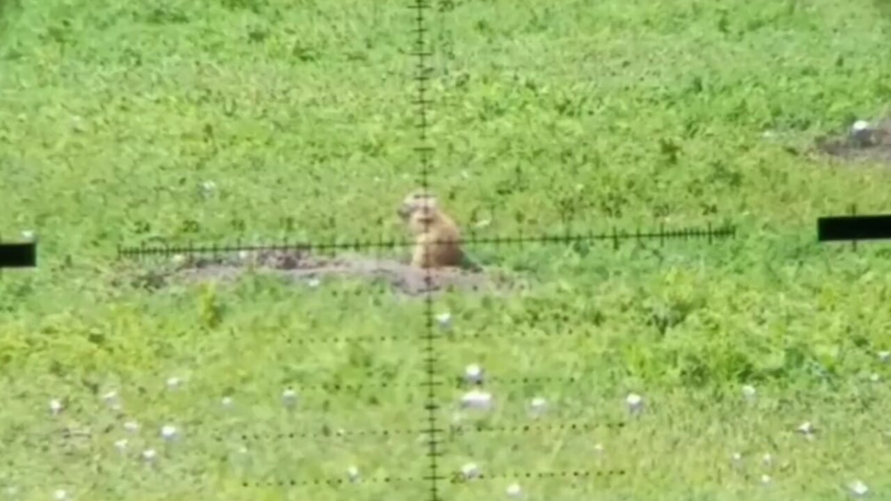 Buffalo Butte Ranch - Prairie Dog Hunting and Long Range Shooting