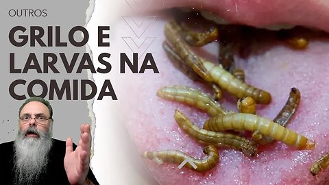 EUROPA autoriza a COMERCIALIZAÇÃO de PÓ de GRILO e LARVAS de BESOURO como ALIMENTO, para o seu BEM