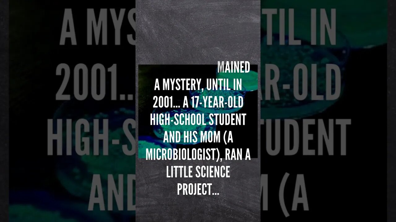 RANDOM HISTORY FACTS #29