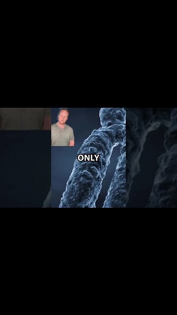 Uncontestable Proof that Jesus lived!🙌 New Discovery Jesus Blood Found On Ark