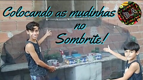 Mudando as MUDINHAS para o SOMBRITE!