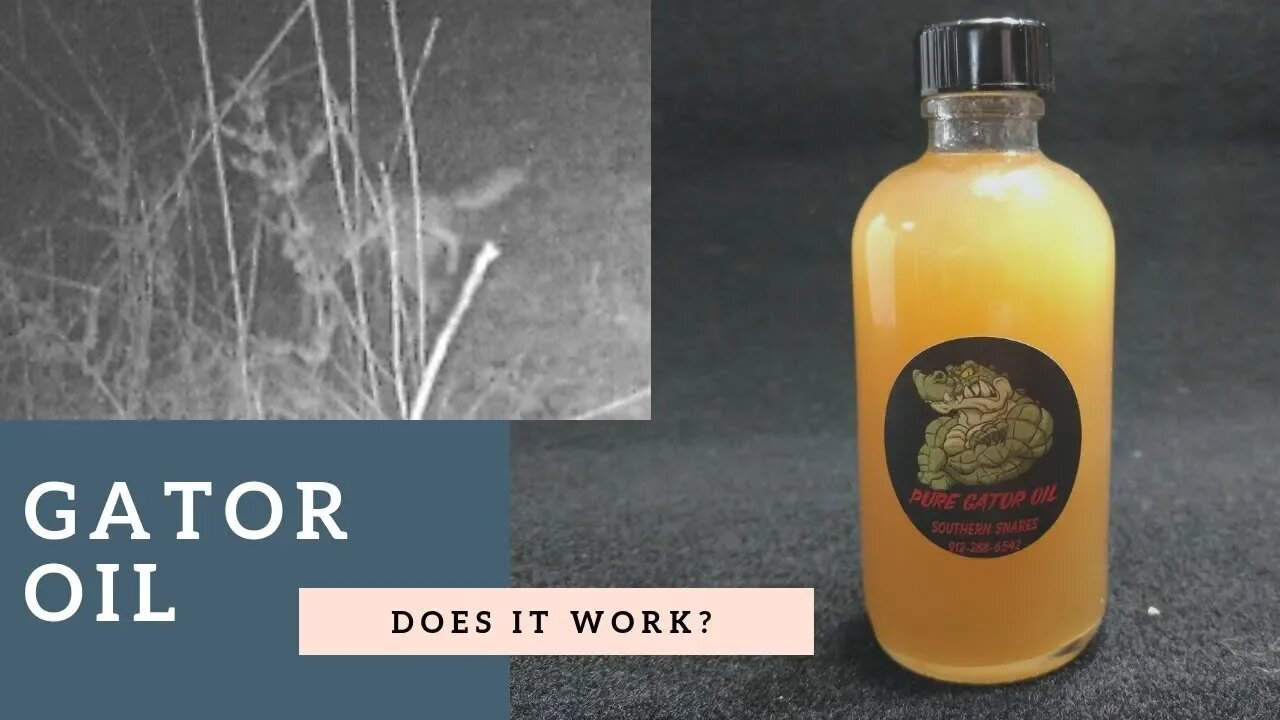 Southern Snares Gator Oil - Does it Work for Coyotes?