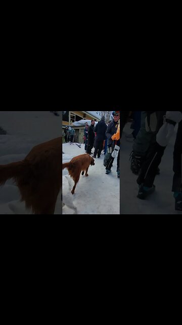 Ares parties at Le chamois Palisades Tahoe