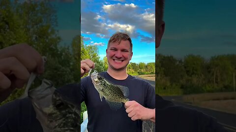 Fish Life 🎣