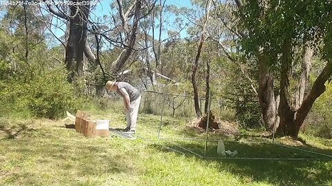 Hev's Chook Pen.