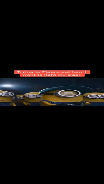 Which Do You Prefer?