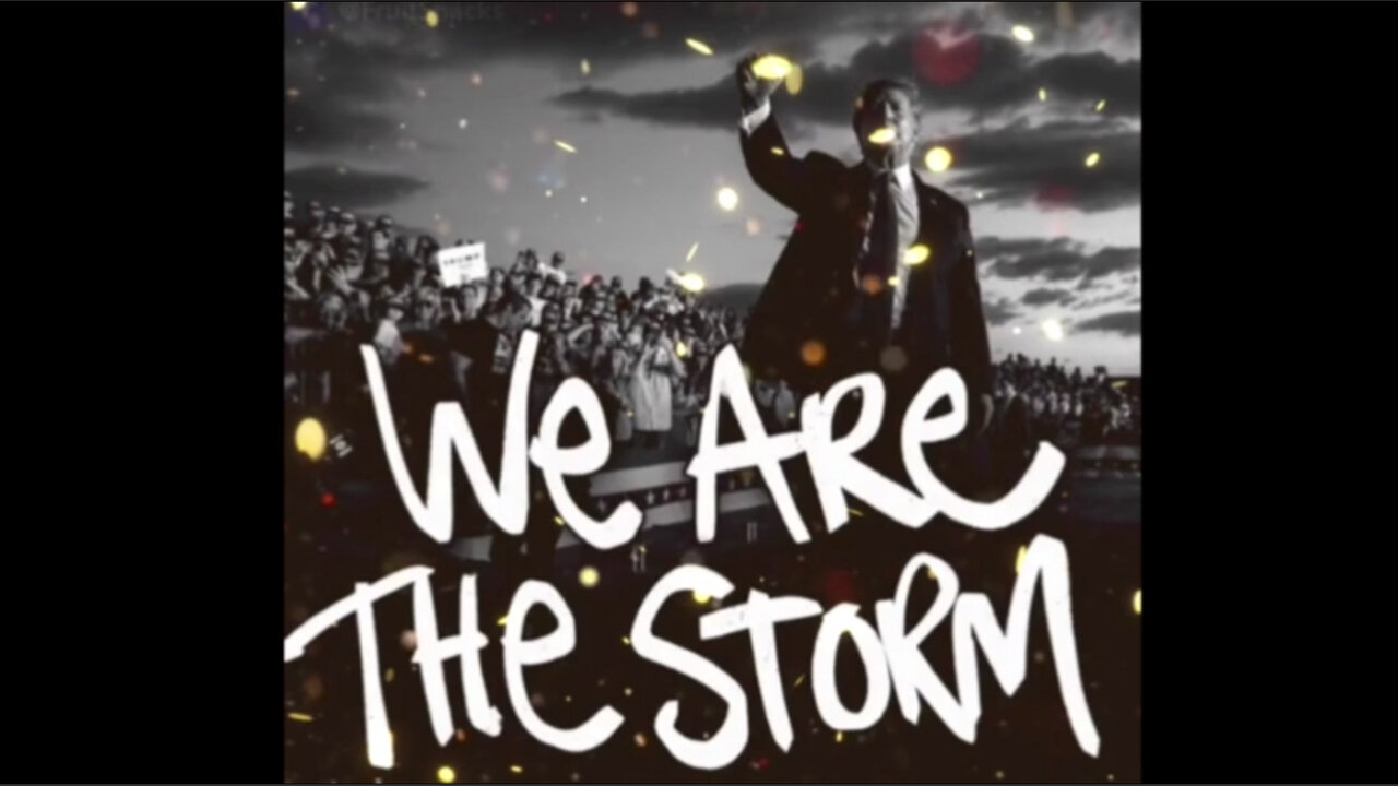 We are the Storm MAGA 2024 - Nothing Can Stop what is coming NCSWIC WWG1WGA