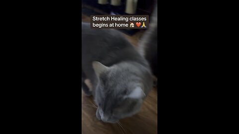 Stretch Healing begins at home 🏠