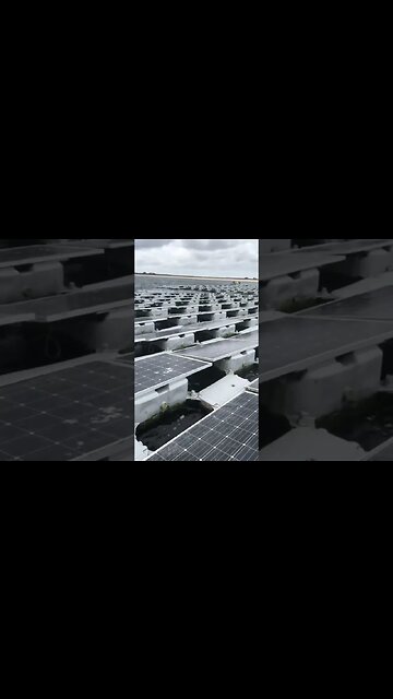 Floating Solar Panels. #shorts s