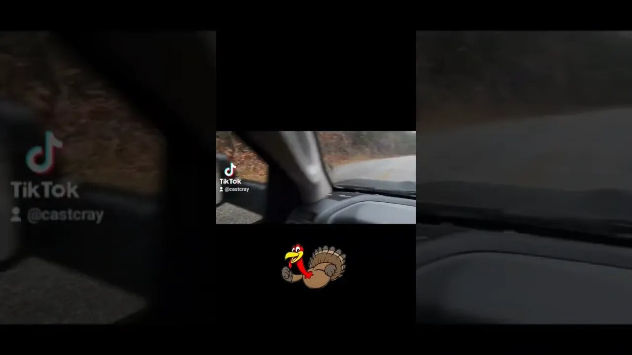 Wild Turkey Almost Ran Over!! #hunting #hunter #turkey #shorts #crash #castcray