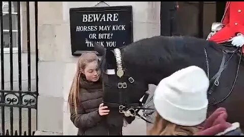 Horse bites his coat #horseguardsparade
