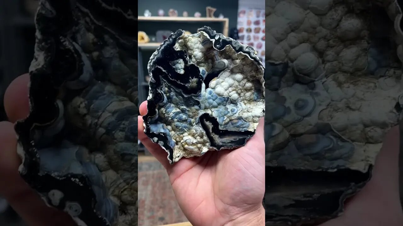 Agatized coral geode!