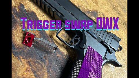 Dan Wesson DWX trigger swap