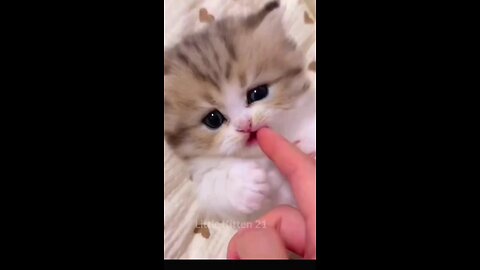 Little cutie (720p)